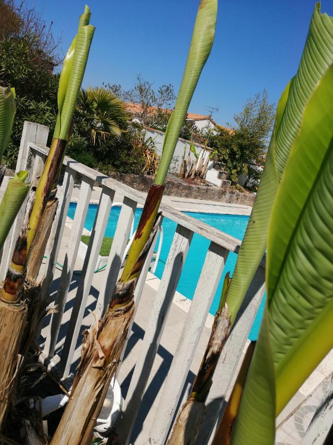 Bed and Breakfast Les Bichettes Mortagne-sur-Sevre Экстерьер фото